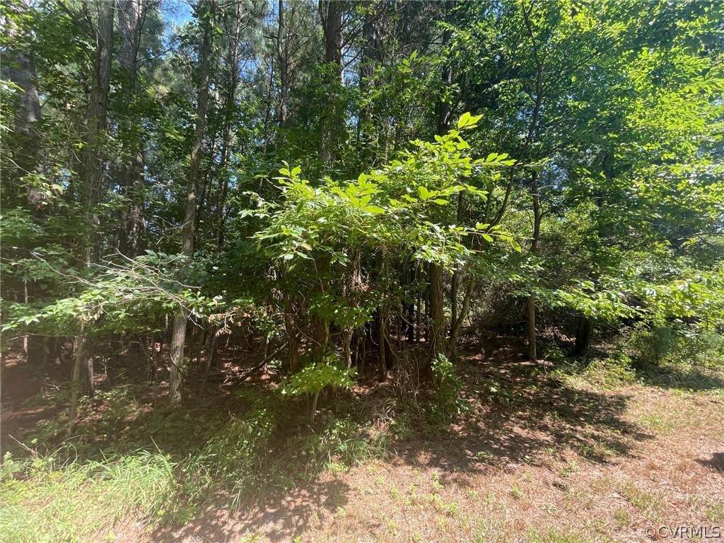 0 General Puller Hwy - Photo 1
