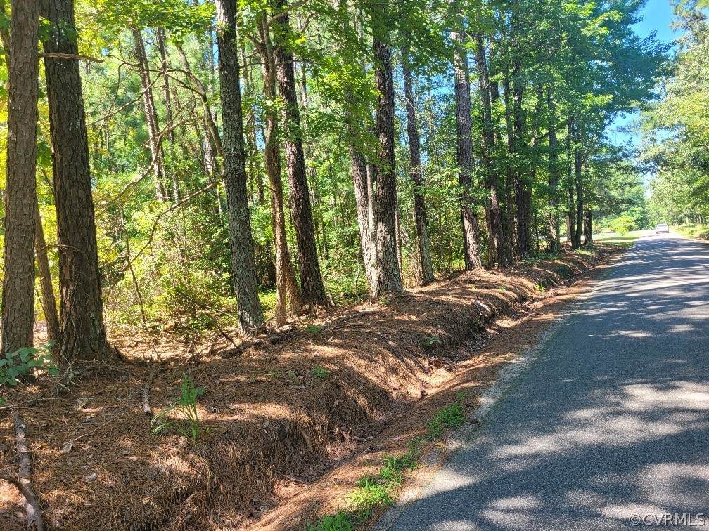 000 Route 681 Concord Sappony Road - Photo 1