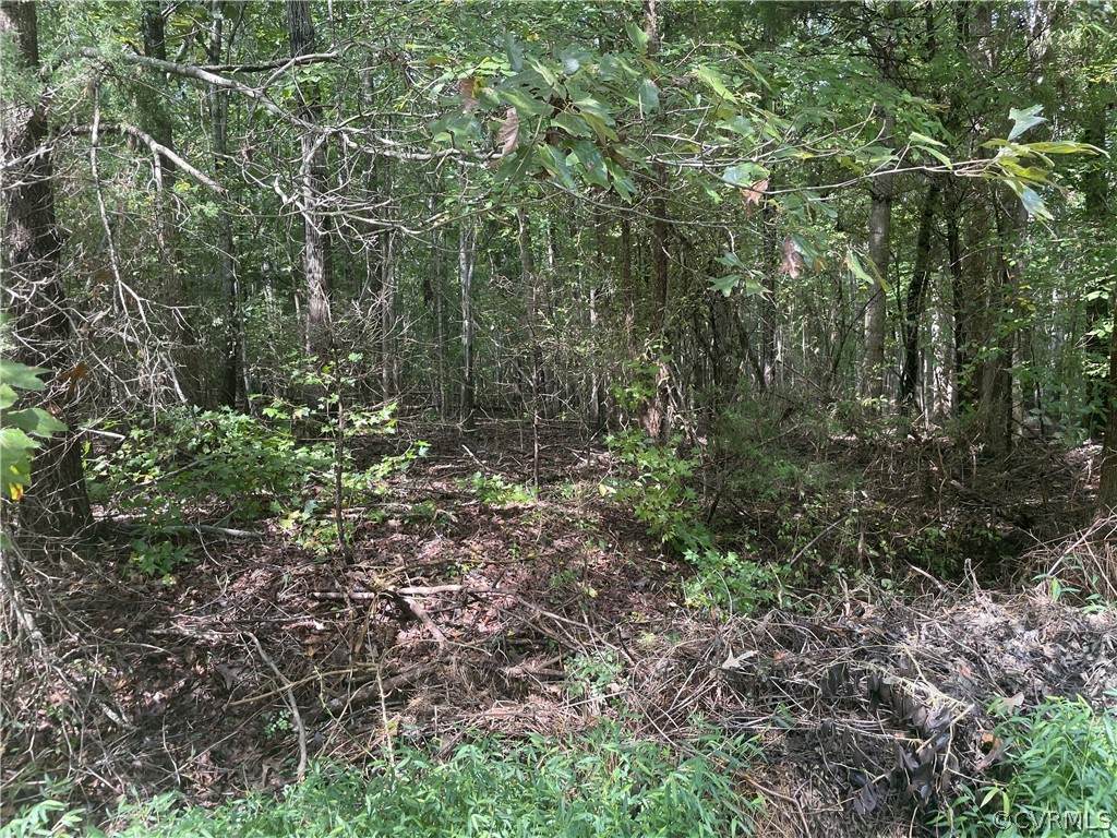 lot 28 Farmstead Dr - Photo 1