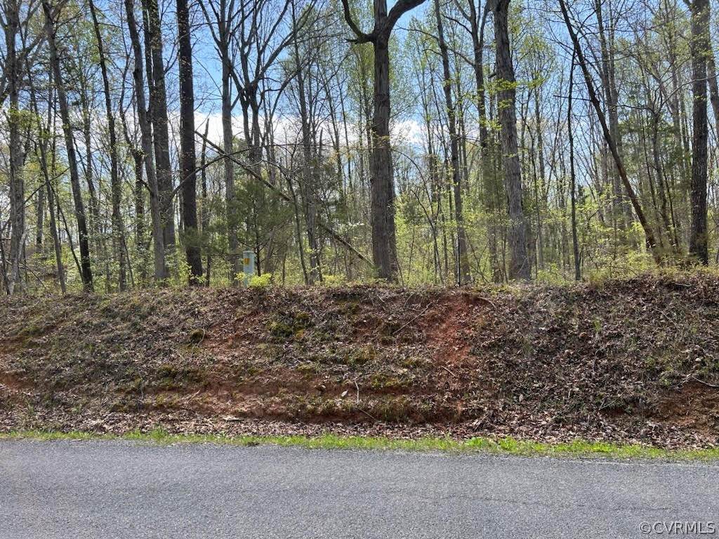 0 Waldrop Church Road - Photo 1