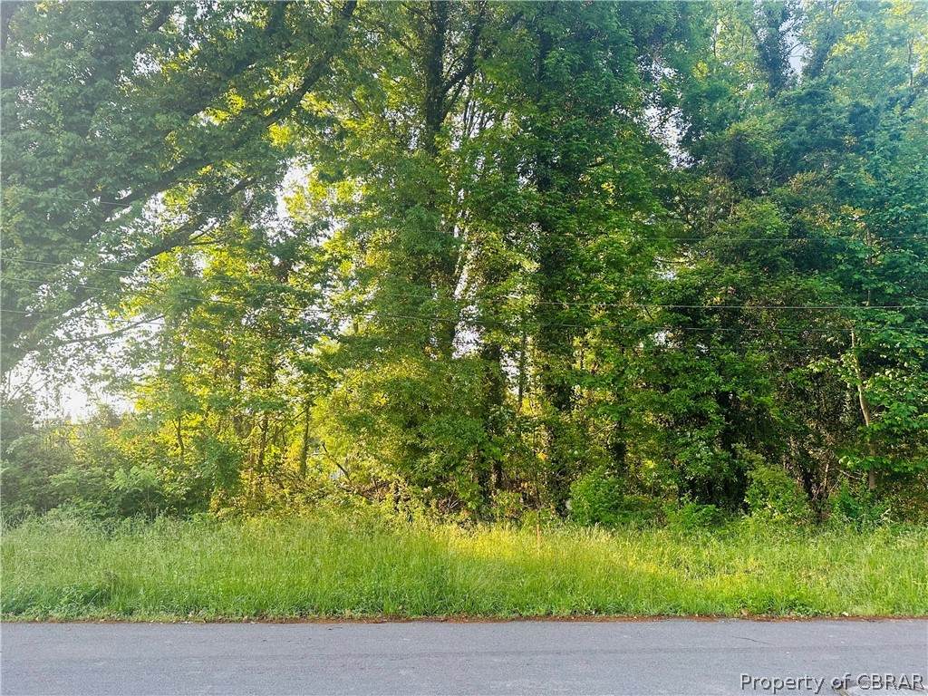 00 King William Avenue - Photo 1