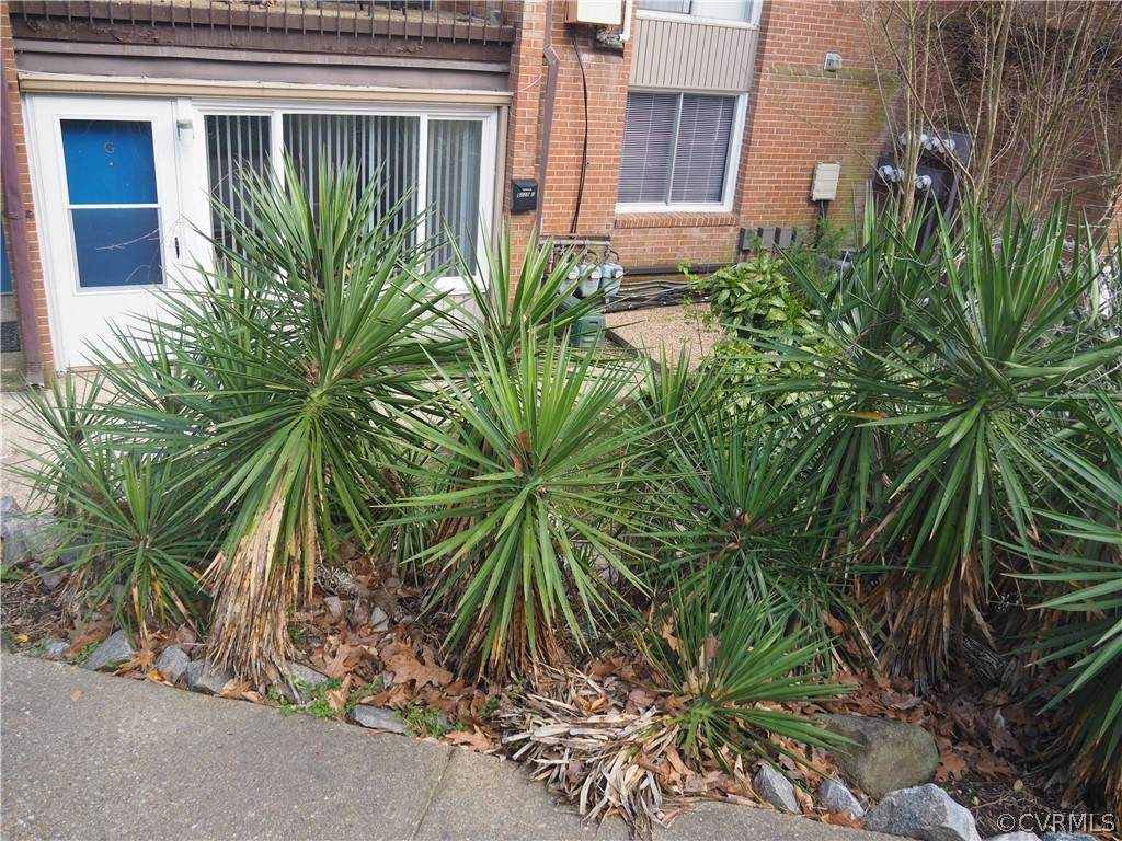 5228 Castlewood Road - Photo 1