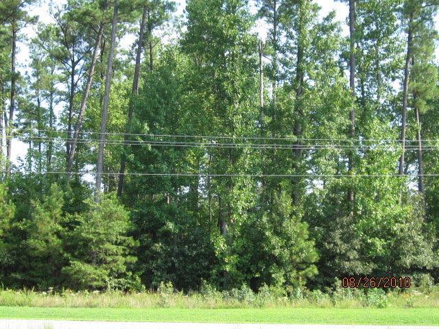 Rt. 33 Lewis B. Puller Memorial Highway - Photo 1