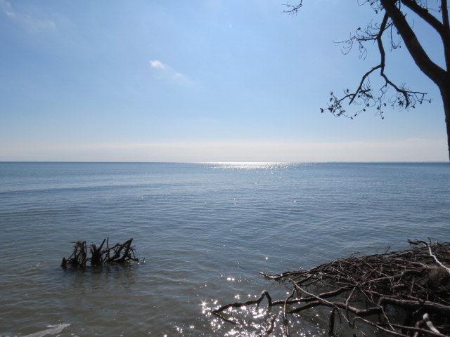 8B Dutchmans Point - Photo 1