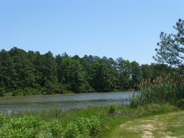 00 Piney Point Road - Photo 1