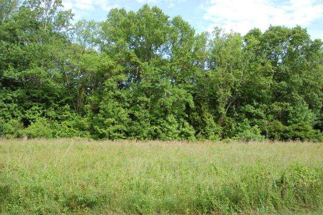 Lot 68 Lakeview Drive - Photo 1