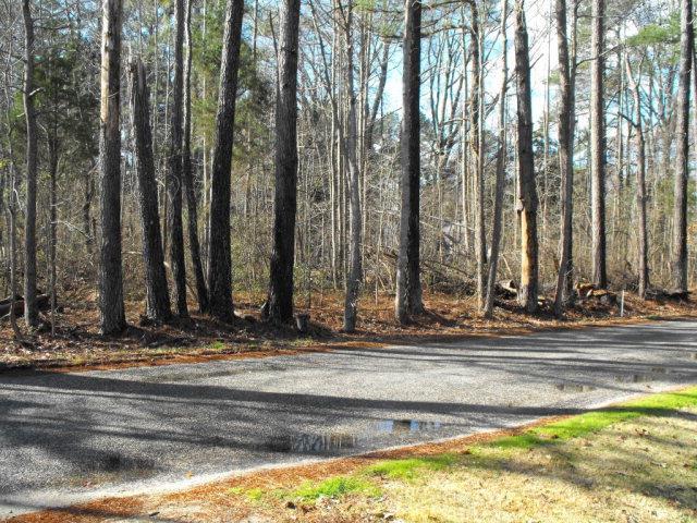 0000 Potter Lane - Photo 1