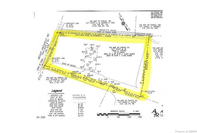 0 Mt Prospect Road Rt 601 Road - Photo 1