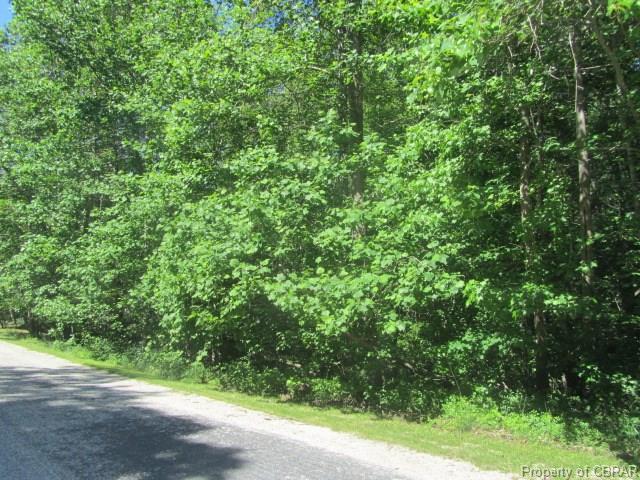 00 Poplar Springs Drive - Photo 1