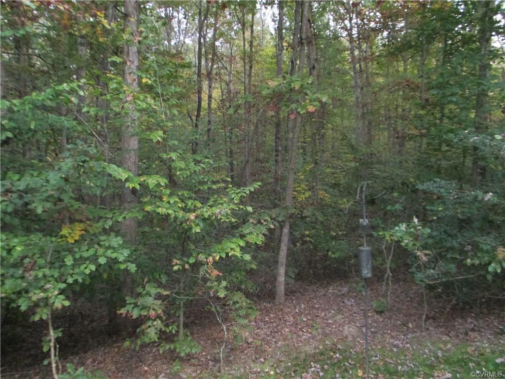 3858 River Road - Photo 1