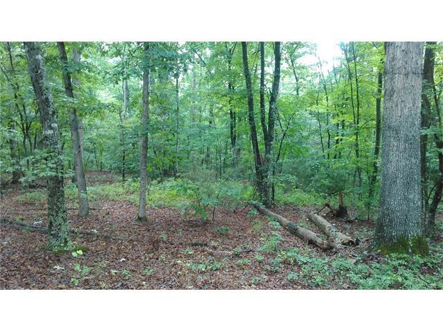 0 Old Ridge Road - Photo 1