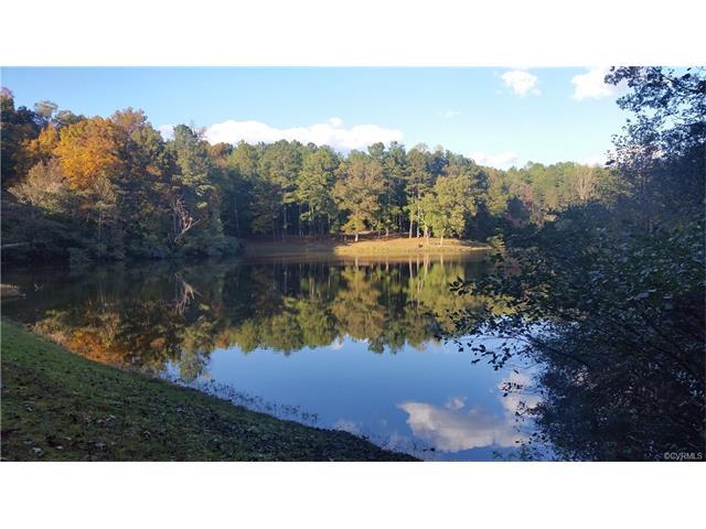 1216 The Forest - Photo 1