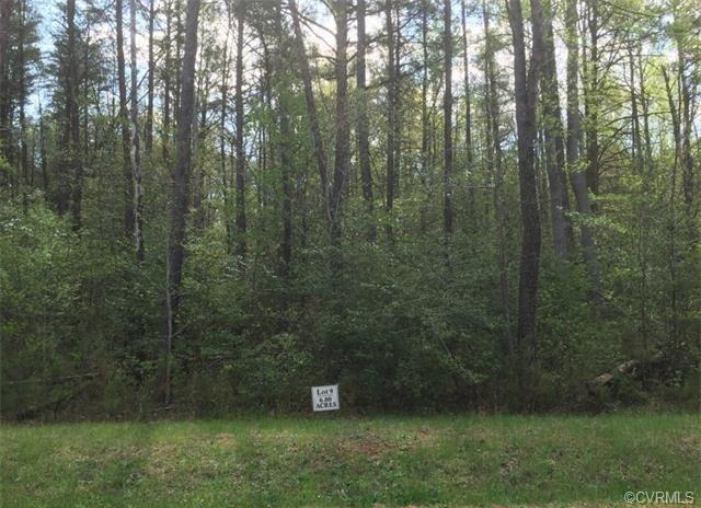 Lot 9 Wolf Swamp Lane - Photo 1