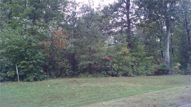 15630 Chesdin Manor Drive - Photo 1