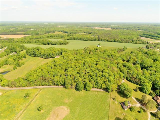 14200 Horseshoe Bridge Road - Photo 1