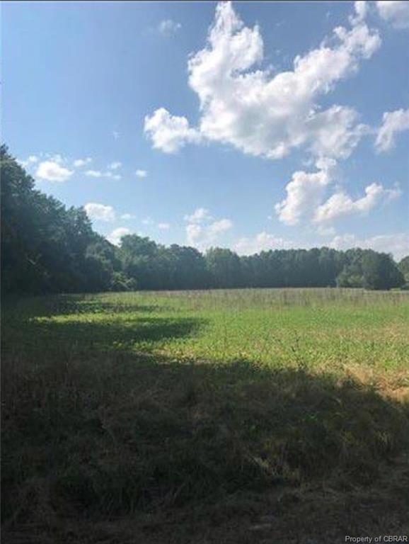 000 Back Creek Road - Photo 1