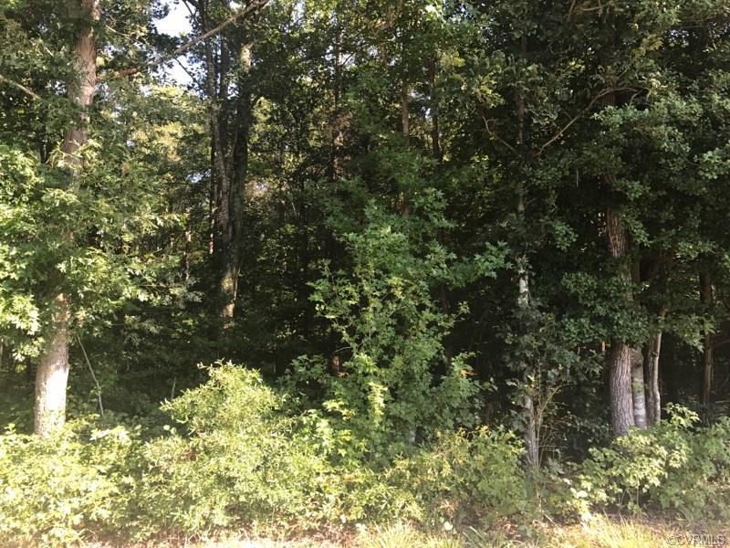 26.53 AC, Amelia Springs Rd. - Photo 1