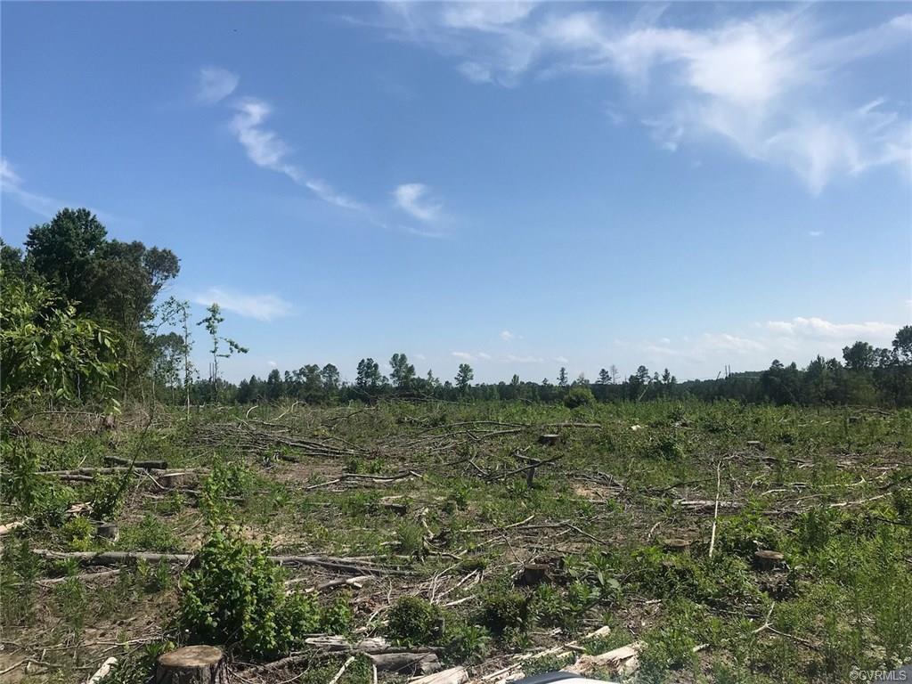 4.875 ACRES, Buckskin Creek Road - Photo 1