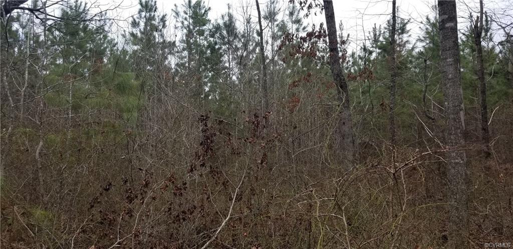 0001 Jefferson Highway - Photo 1