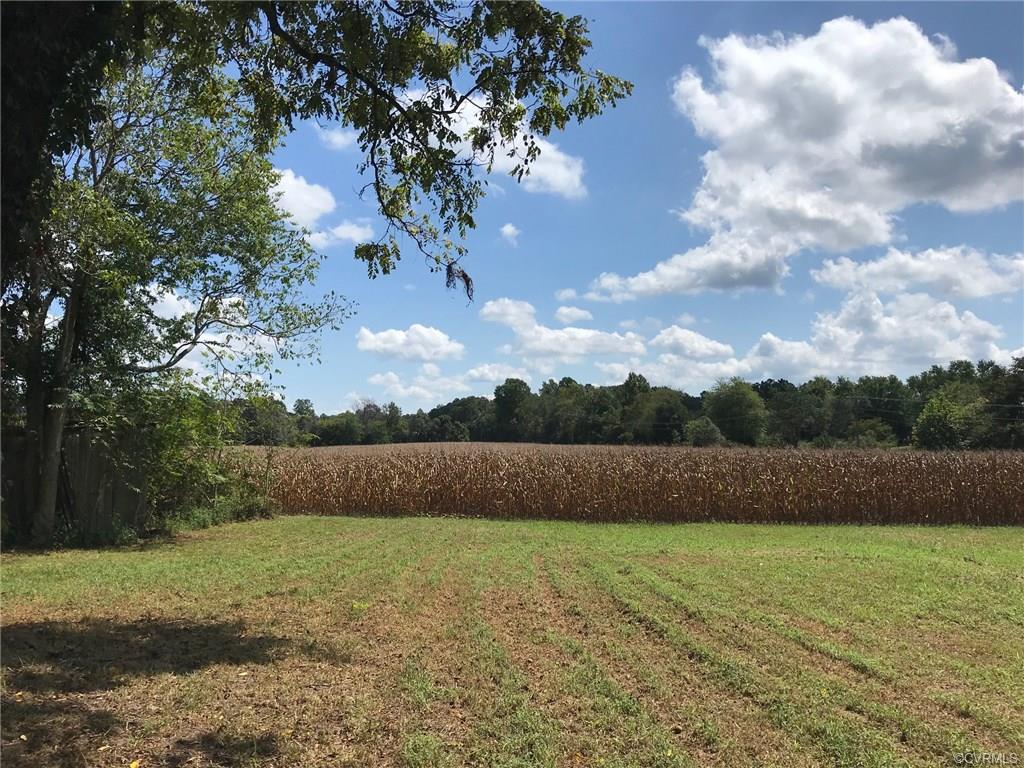 26521 Ruther Glen Road - Photo 1