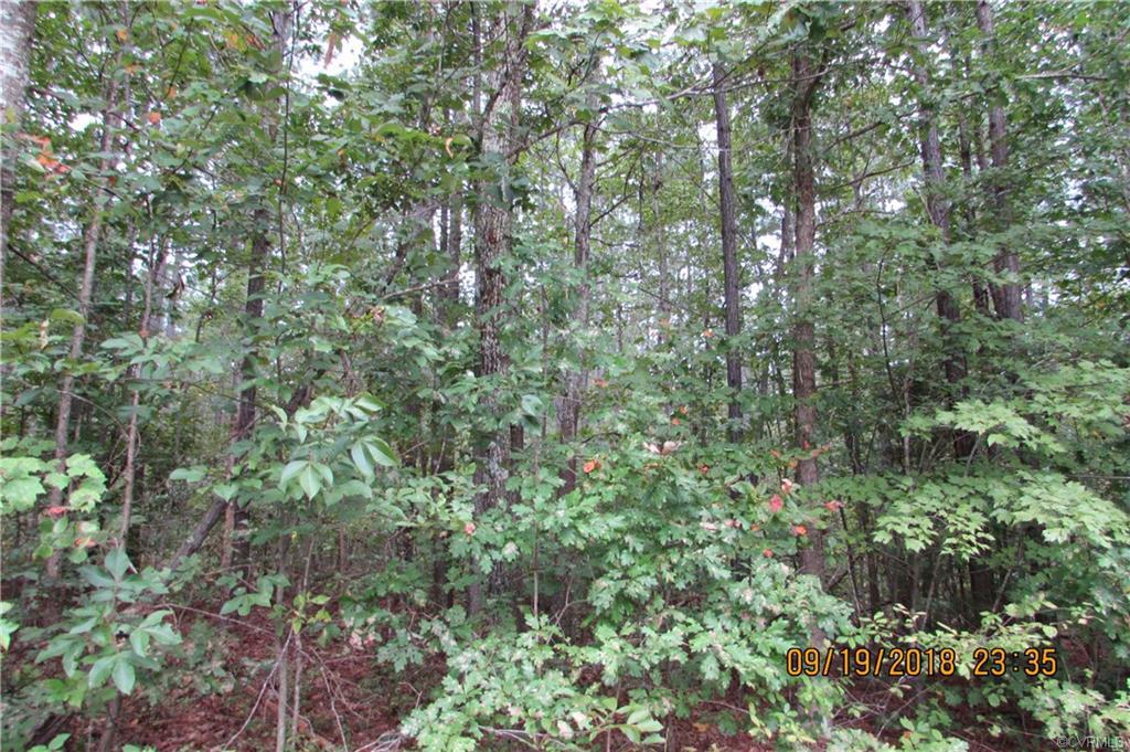 8943 Baltimore Road - Photo 1