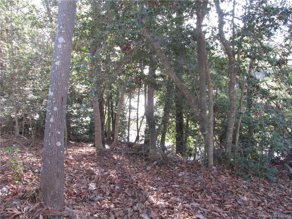 247 Musick Lane - Photo 1