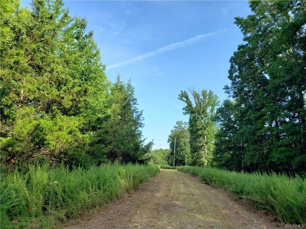 4900 Guinea Station Road - Photo 1