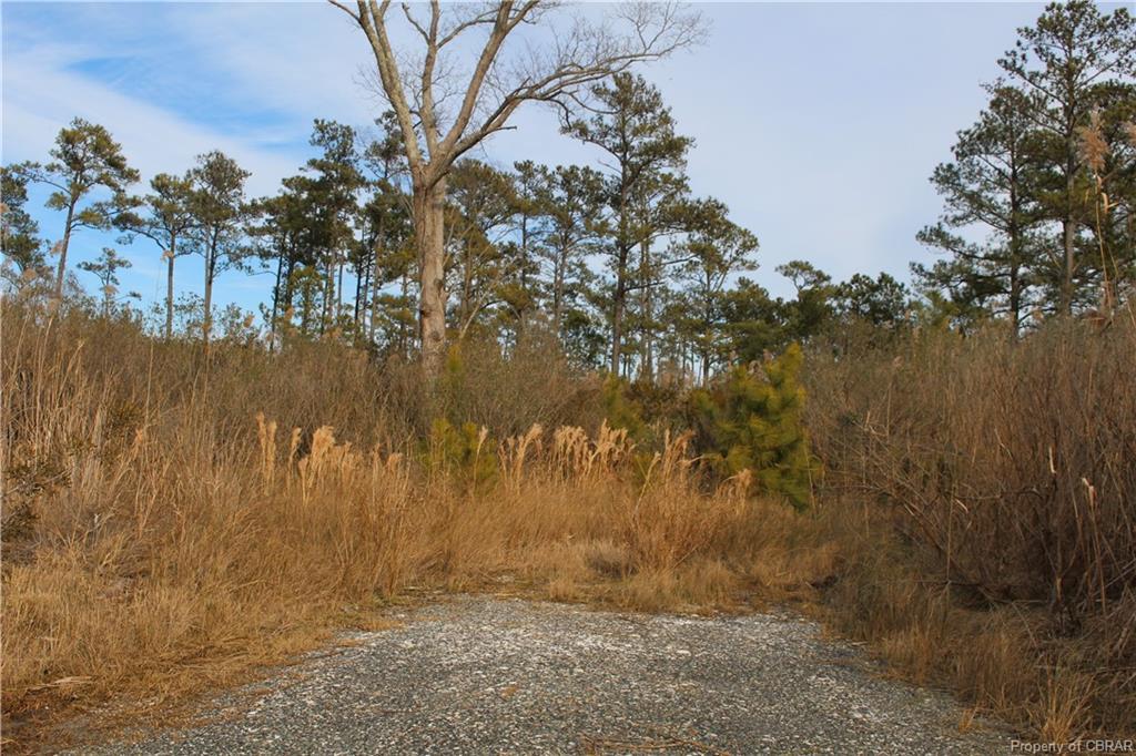 10111 Smiley Road - Photo 1