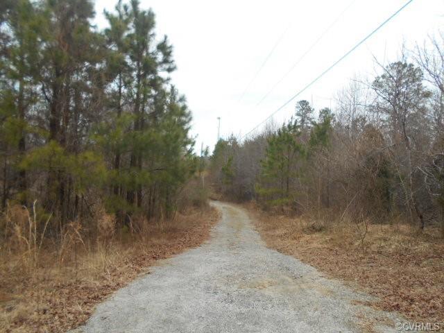 4822 Cox Road - Photo 1
