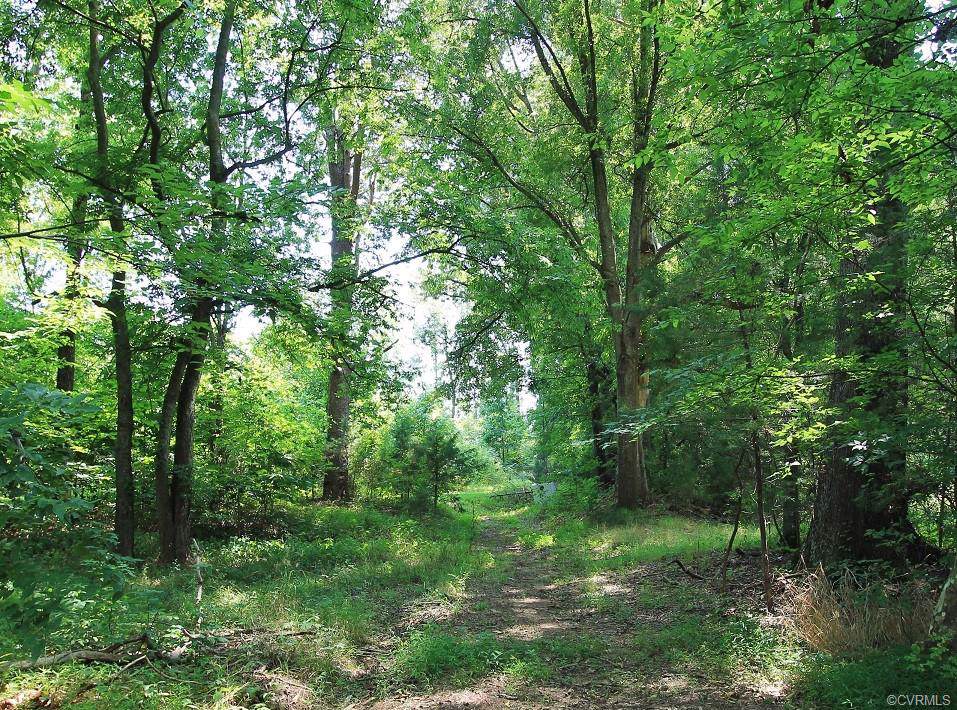 25 Acres Amelia Ave - Photo 1