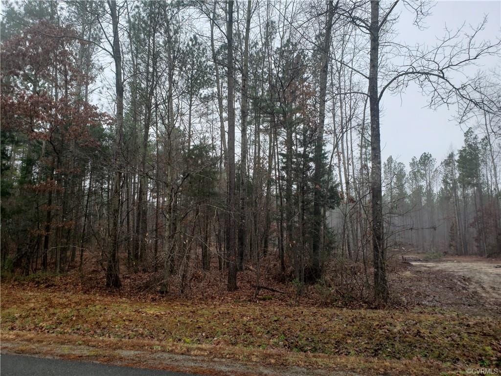 16173 Pug Swamp Lane - Photo 1