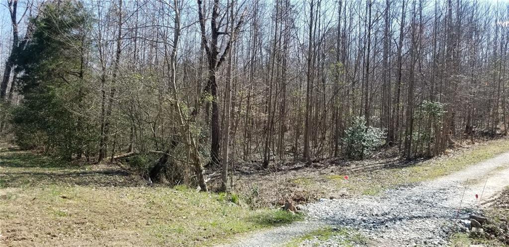 2265 Patrick Lane - Photo 1