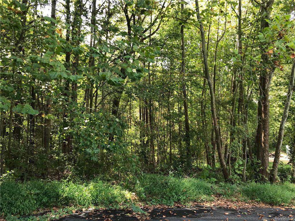 000 Shortleaf Lane - Photo 1