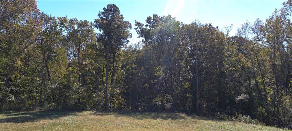1506 White Mountain Drive - Photo 1