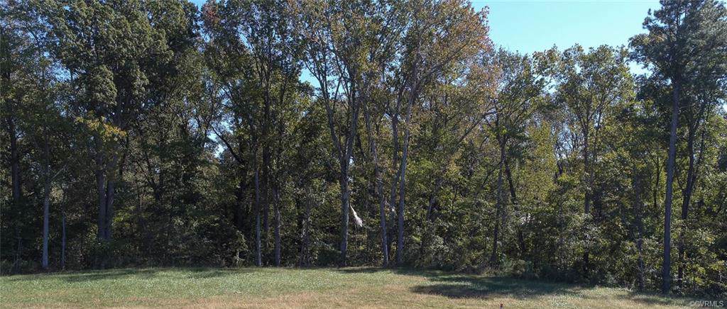 1500 White Mountain Drive - Photo 1