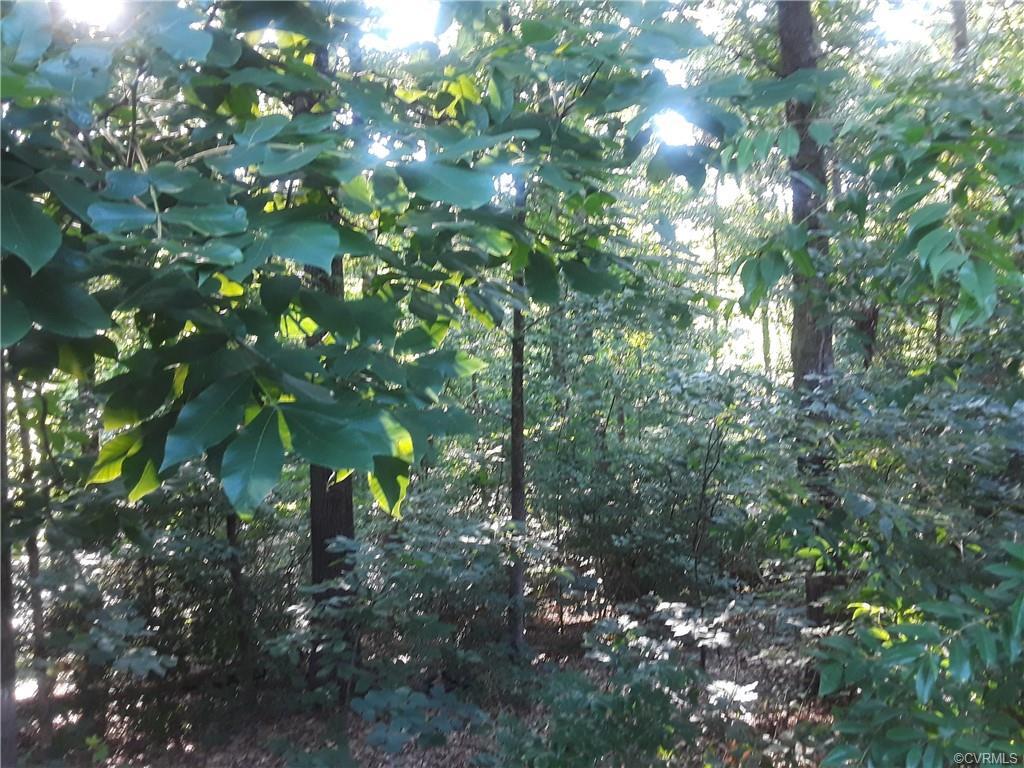 0 Concord Rd - Photo 1