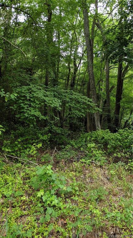 Route 633 Old Ferry Road - Photo 1