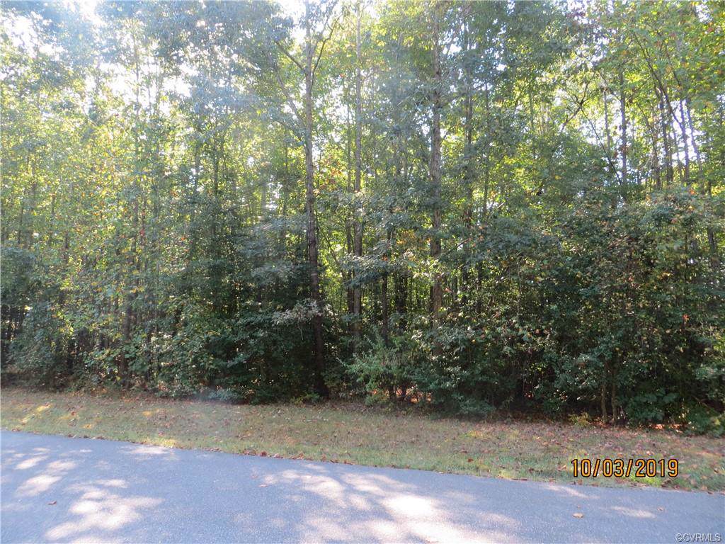 11136 Broken Bit Lane - Photo 1