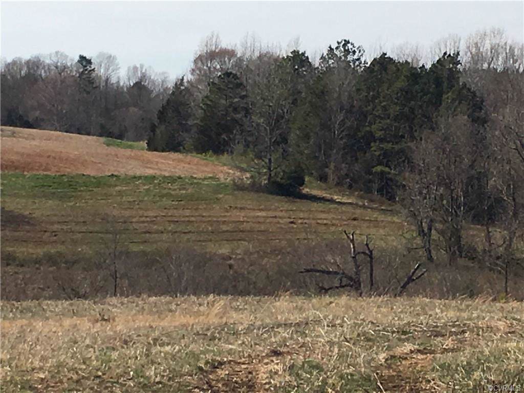 4279 Henrico Road - Photo 1