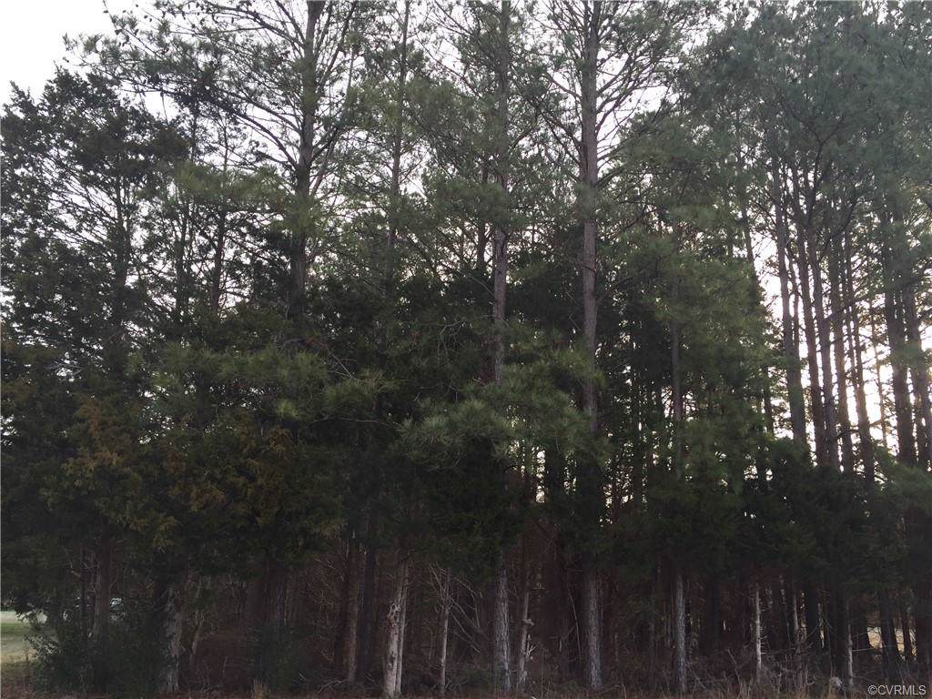 19017 Depot Road - Photo 1