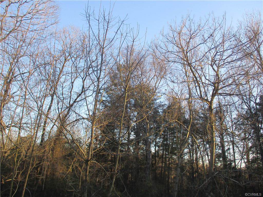 0000 Stoney Point Rd - Photo 1