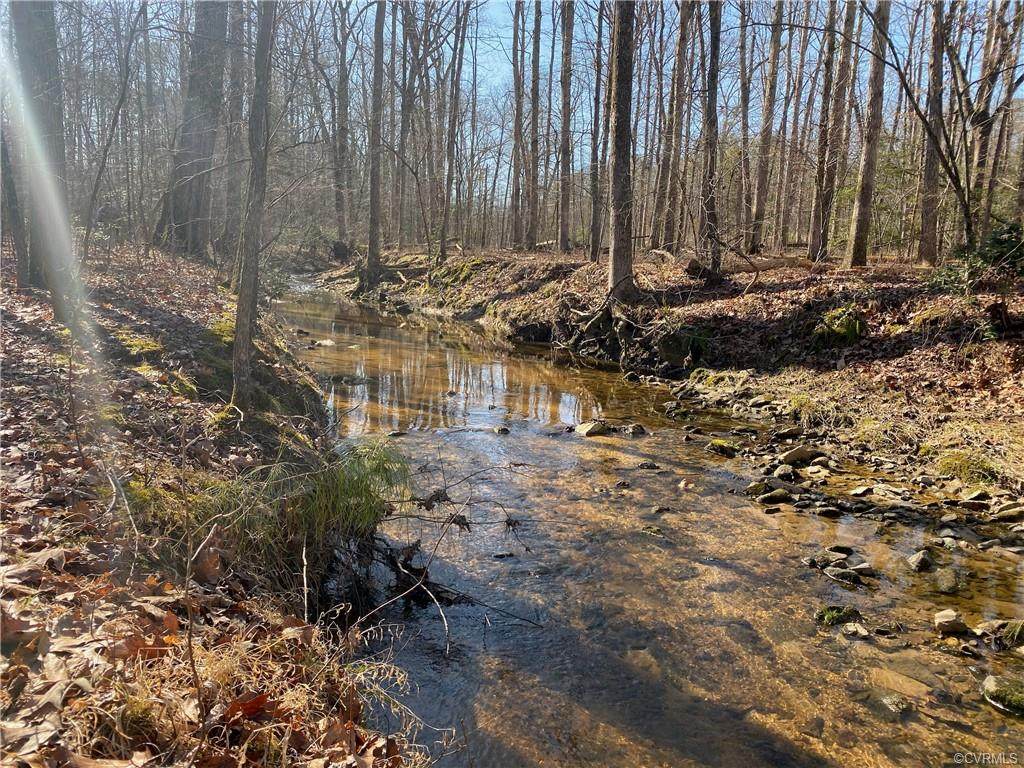 0 Robinson Forest Trail - Photo 1