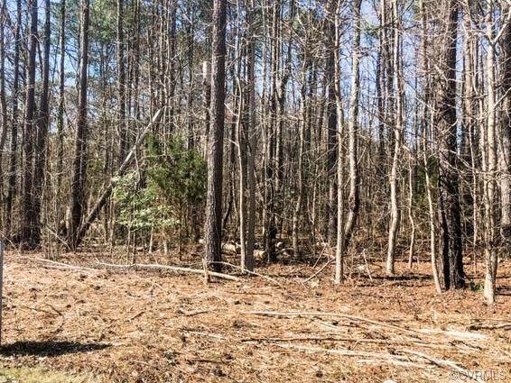 7510 Spring Run Road - Photo 1