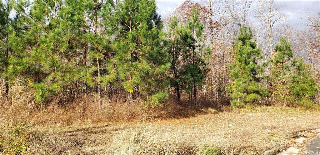 Lot 36 The Meadows - Photo 1
