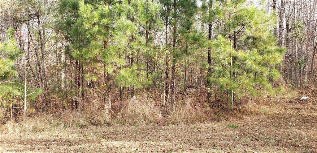 2617 Flat Top - Photo 1