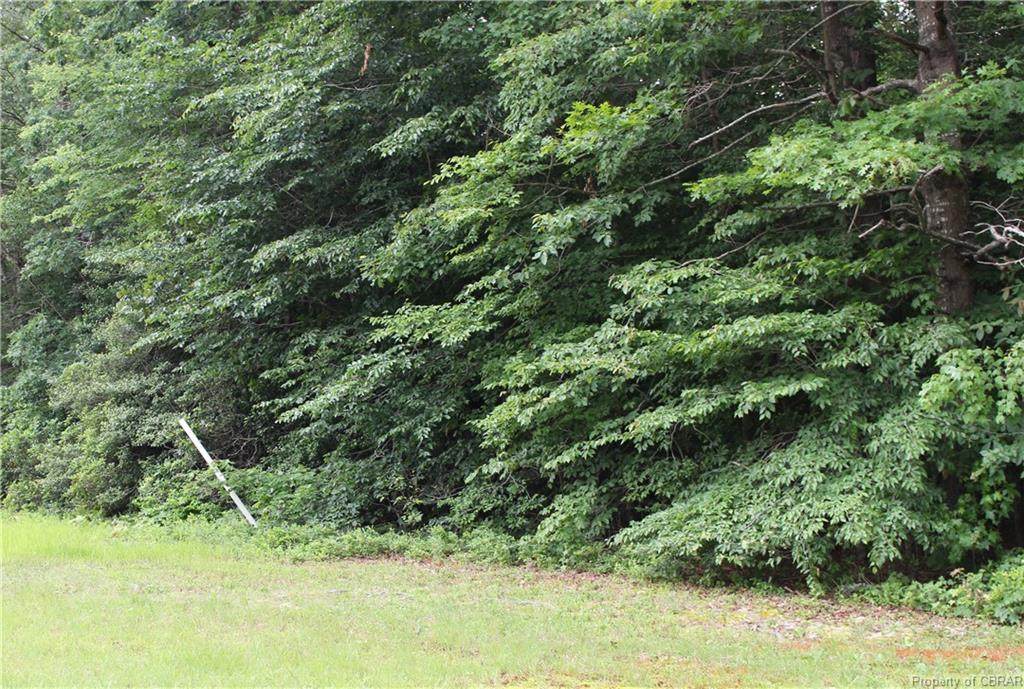 00 George Wash Memorial - 10.49Ac Highway - Photo 1