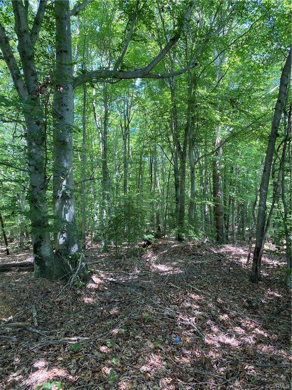 0 Gun Barrel Road - Photo 1