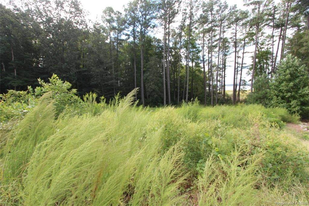 Lot 7 Rail Court - Photo 1