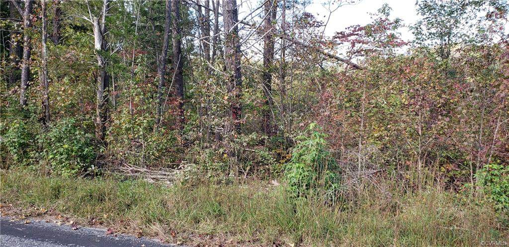 64-3-3 Country Road - Photo 1