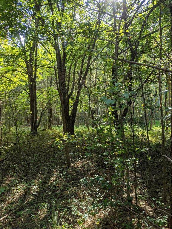 00 Willis Road - Photo 1